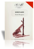 Serenade, Op. 22 for Organ