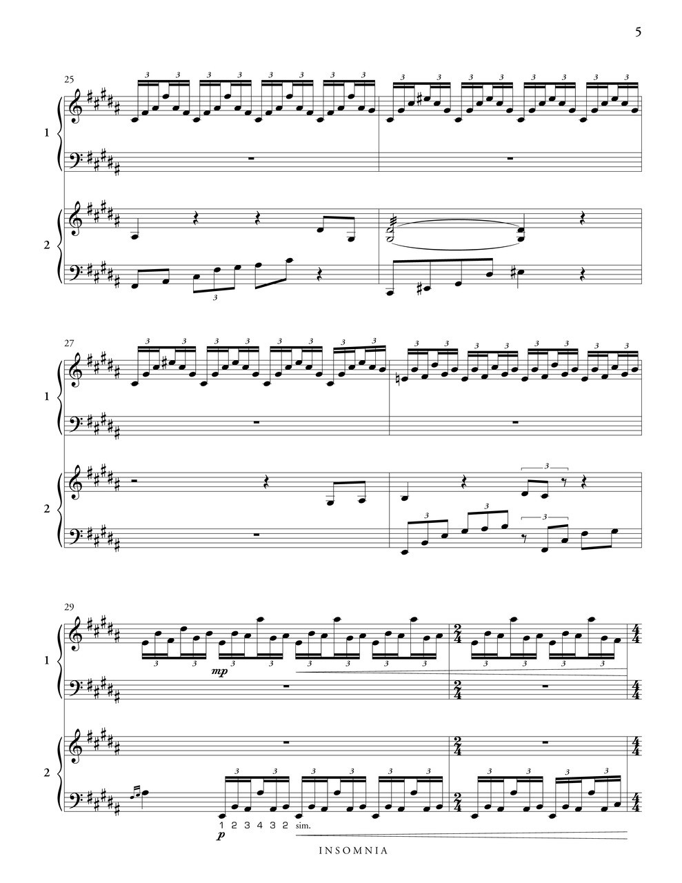 Insomnia Marimba Duet Cody Holmes