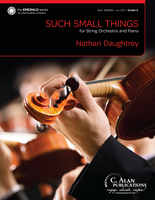 Such Small Things (String Orchestra Gr. 3)