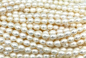 Large Hole Pearl Beads
