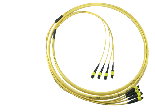 MTP Singlemode 48 Fiber Trunk Cable
