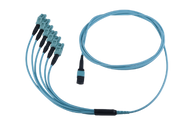 MTP® LC 12 Fiber OM3 Harnesses