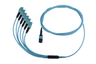 MTP® LC 12 Fiber OM4 Harnesses