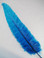 OSTRICH NANDU, STANDARD, Turquoise 12-16 inch per Each