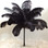 Black ostrich feather wing plumes