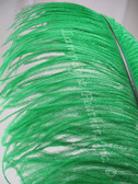 Green Ostrich Feather Plume Premium Large 24-30 inch per Each