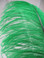 Green Ostrich Feather Plume Premium Large 24-30 inch per Each