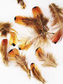 CRAFT Feathers, ring-necked Pheasant, MIX, per .25 ounce
