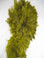 Rooster Feathers Schlappen, 3-5 inch, dyed Olive, per FOOT