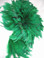 Rooster Feathers Schlappen, 3-5 inch, dyed Green, per ounce