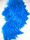Rooster Feathers Schlappen, Turquoise, 3-5 inch, per FOOT