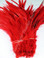 ROOSTER Saddle Feathers, strung, long, Red - per foot