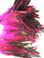 Hot Pink Rooster Feathers Half Bronze Schlappen