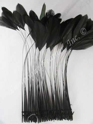 stripped coque Black