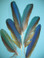 WING QUILL Feathers, macaw, small - per pair