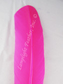 Turkey Feathers, wing rounds, dyed Hot Pink, per DOZEN