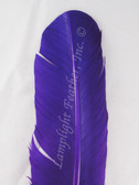 Turkey Feathers, wing rounds, dyed Purple, per DOZEN
