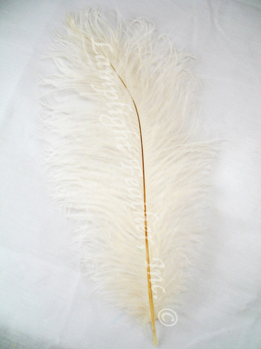 Ivory Mini Ostrich Feathers 5-8 Inch per Dozen