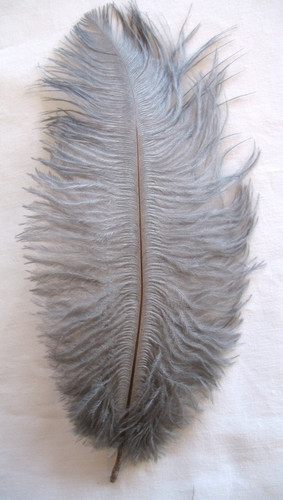 Gray Mini Ostrich Feathers 5-8 Inch per Dozen