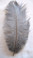 Gray Mini Ostrich Feathers 5-8 Inch per Dozen