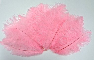 Ostrich Feather, Candy pink 8-12 Inch size, per Each