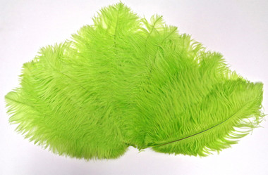lime Ostrich Feather 8-12 inch size per Each