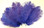 Ostrich Feather, Purple 8-12 Inch size, per Each