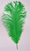 Green Ostrich Feather,  long ostrich feather