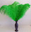 Green OSTRICH FEATHER, LONG per Each