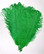 Green OSTRICH FEATHER, LONG per Each