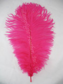 Fuchsia Ostrich Feather 8-12 inch size per Each