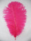 Fuchsia Ostrich Feather 8-12 inch size per Each