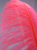 Hot Pink Ostrich Feather Plume Large 16-24 inch per Each