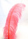 Large Hot Pink Ostrich Feather Plume