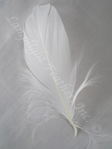 GOOSE SHOULDER Feathers, NATURAL White, per Ounce