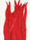 Red Coque Rooster Tail Feathers 16-18 inch