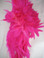 Fuchsia Hot Pink Rooster Feathers Short Schlappen