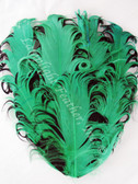 Millinery Feather Pad Curly Goose Black/Green per Each