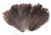 Natural Ostrich Feather 8-12 inch size per Each