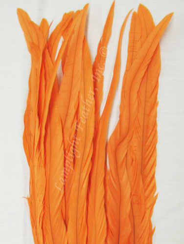Coque Rooster Tail Feathers 14-16 inches Orange per half ounce