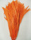 Coque Rooster Tail Feathers 14-16 inches Orange