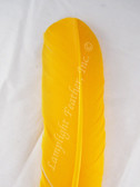 Turkey Wing Quill Craft Feathers dyed Gold per DOZEN