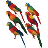 Colorful Parrot Feather Ornaments 6 inch mixed colors per set of 6
