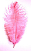 Candy Pink Ostrich Feathers 12-16 inch long per each