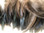 Feather Trim Rooster Hackle Feathers Natural Bronze Black detail