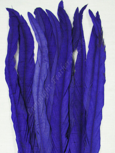 Coque, 15-18 inch, Purple, per DOZEN