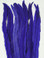 Coque, 15-18 inch, Purple, per DOZEN