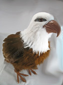 Bald Eagle Standing Figurine 13 inch per 6