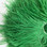Kelly Green Ostrich Fringe Premium 5-6 inch per yard