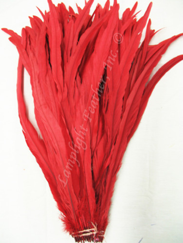 Red Coque Rooster Tail Feathers 14-16 inch b